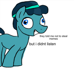 Size: 478x443 | Tagged: safe, crystal hoof, thorax, changeling, g4, my little pony: friendship is magic, the times they are a changeling, crystal hoof didn't listen, disguise, disguised changeling, exploitable meme, i didn't listen, image macro, meme