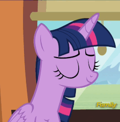 Size: 1057x1080 | Tagged: safe, screencap, twilight sparkle, alicorn, pony, g4, the times they are a changeling, animated, female, reaction image, solo, twilight sparkle (alicorn)
