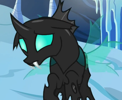 Size: 581x476 | Tagged: safe, screencap, thorax, changeling, g4, the times they are a changeling, male, sad, solo