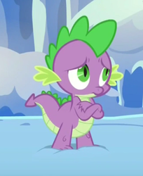 Size: 353x432 | Tagged: safe, screencap, spike, g4, the times they are a changeling, male, solo