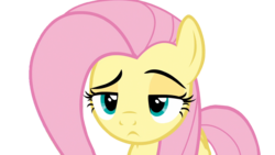 Size: 1920x1080 | Tagged: safe, fluttershy, flutter brutter, g4, my little pony: friendship is magic, fluttershy is not amused, reaction image