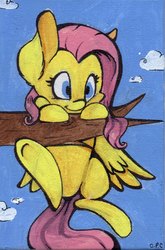 Size: 1360x2055 | Tagged: safe, artist:cutepencilcase, fluttershy, g4, female, hang in there, solo, traditional art, tree branch