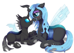 Size: 3000x2150 | Tagged: safe, artist:evomanaphy, oc, oc only, oc:stardust, changeling, changeling queen, blue changeling, blushing, boop, changeling queen oc, cute, fangs, female, freckles, high res, nuzzling, prone, simple background, sitting, transparent background