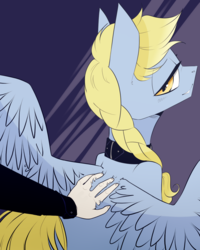 Size: 1024x1280 | Tagged: safe, artist:fidelissibs, oc, oc only, oc:windswept skies, human, pegasus, pony, back scratching, braid, collar, fluffy, hand, looking back, male, offscreen character, reversed collar, spread wings, stallion, wings, yellow eyes
