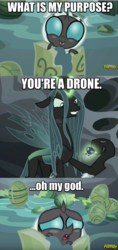 Size: 696x1472 | Tagged: safe, edit, edited screencap, screencap, queen chrysalis, thorax, changeling, changeling larva, changeling queen, g4, the times they are a changeling, caption, egg, female, grub, image macro, meme, mommy chrissy, rick and morty, something ricked this way comes