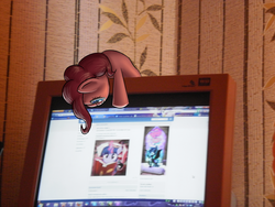 Size: 1280x960 | Tagged: safe, artist:icefairy64, pinkie pie, twilight sparkle, pony, g4, computer, firefox, irl, microsoft windows, monitor, photo, ponies in real life, solo, windows 7