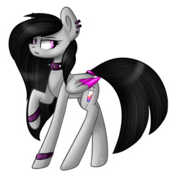 Size: 1024x1018 | Tagged: safe, artist:despotshy, oc, oc only, earth pony, pegasus, pony, choker, colored wings, colored wingtips, lidded eyes, looking back, raised hoof, simple background, solo, spiked choker, transparent background