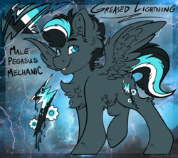 Size: 1872x1660 | Tagged: safe, artist:php166, oc, oc only, oc:greased lightning, pegasus, pony, cutie mark, male, reference sheet, solo, stallion, wings