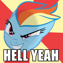 Size: 640x640 | Tagged: safe, edit, edited screencap, screencap, rainbow dash, g4, stranger than fan fiction, female, floating head, meme, reaction image, solo