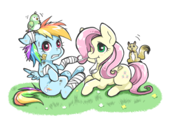 Size: 1200x916 | Tagged: safe, artist:hobilo, fluttershy, rainbow dash, bird, squirrel, g4, bandage, caring, duo, flower, frazzled, injured