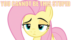 Size: 1920x1080 | Tagged: safe, fluttershy, flutter brutter, g4, female, meme, simple background, solo, transparent background, vector