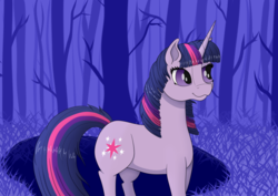 Size: 900x636 | Tagged: safe, artist:fia94, twilight sparkle, g4, female, forest, solo