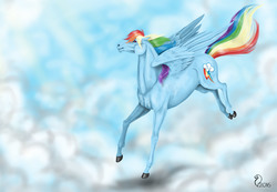 Size: 3346x2312 | Tagged: safe, artist:cvanilda, rainbow dash, pony, g4, female, high res, hoers, realistic, solo