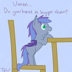 Size: 900x900 | Tagged: safe, artist:tyrannisumbra, oc, oc only, oc:silver wing (batpony), bat pony, pony, chair, female, furniture, simple background, solo, table