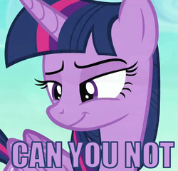 Size: 498x478 | Tagged: safe, screencap, twilight sparkle, alicorn, pony, g4, the times they are a changeling, cropped, lidded eyes, meme, reaction image, smirk, smug, twilight sparkle (alicorn)