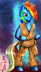 Size: 880x1520 | Tagged: safe, artist:gremlinkun, rainbow dash, pony, g4, bipedal, clothes, cosplay, costume, female, ken masters, solo