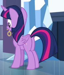 Size: 508x590 | Tagged: safe, screencap, twilight sparkle, alicorn, pony, g4, the times they are a changeling, butt, cropped, female, mare, plot, twilight sparkle (alicorn)
