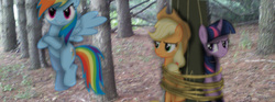 Size: 1293x481 | Tagged: safe, artist:riniginianna, applejack, rainbow dash, twilight sparkle, g4, forest, irl, looking at you, photo, ponies in real life, rope, tied up, tree, vector