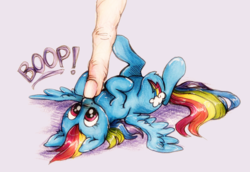 Size: 959x659 | Tagged: safe, artist:buttersprinkle, rainbow dash, human, pegasus, pony, g4, boop, cute, dashabetes, female, finger, fluffy, hand, mare, micro, on back, shiny, size difference, smoldash, spread out hair, spread wings, tiny, tiny ponies, traditional art