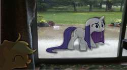 Size: 939x522 | Tagged: safe, artist:riniginianna, applejack, rarity, g4, glass door, irl, laughing, outdoors, photo, ponies in real life, rain, tree, vector, wet, wet mane, wet mane rarity