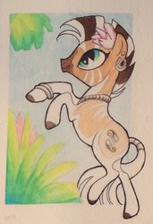 Size: 600x876 | Tagged: safe, artist:peachykeenponies, oc, oc only, oc:nia the quagga, quagga, animal in mlp form, flower, jewelry, necklace, rearing