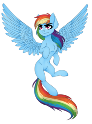 Size: 1936x2592 | Tagged: safe, artist:hayley1432, rainbow dash, g4, belly, belly button, chest fluff, concave belly, female, flying, long tail, mare, ribcage, simple background, slender, solo, spread wings, tail, thin, transparent background, wings