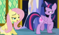 Size: 534x314 | Tagged: safe, screencap, fluttershy, twilight sparkle, alicorn, pegasus, pony, g4, the hooffields and mccolts, cropped, duo, faic, female, great moments in animation, lidded eyes, mare, mid-blink screencap, twilight sparkle (alicorn)