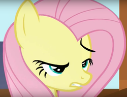 Size: 850x650 | Tagged: safe, screencap, fluttershy, pony, g4, the hooffields and mccolts, cropped, faic, female, great moments in animation, mare, solo