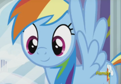 Size: 1021x705 | Tagged: safe, screencap, rainbow dash, pegasus, pony, g4, the cart before the ponies, cute, dashabetes, female, mare, smiling, solo, spread wings, wings