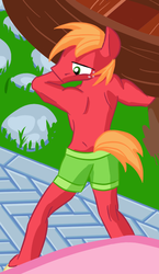 Size: 413x710 | Tagged: safe, artist:noctulov, edit, big macintosh, earth pony, anthro, g4, clothes, cropped, male, solo, swimsuit, topless