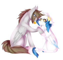 Size: 3800x3600 | Tagged: safe, artist:shiroclaws, oc, oc only, oc:digital dusk, oc:star seeker, hippogriff, pegasus, pony, high res, male, straight