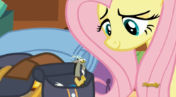 Size: 1673x923 | Tagged: safe, screencap, discord, fluttershy, dungeons and discords, g4, micro