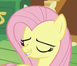 Size: 818x697 | Tagged: safe, screencap, fluttershy, pony, dungeons and discords, g4, cropped, eyes closed, lip bite