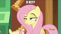 Size: 888x499 | Tagged: safe, edit, edited screencap, screencap, fluttershy, dungeons and discords, g4, discovery family logo, faic, female, image macro, lidded eyes, meme, o rly, reaction image, solo