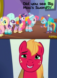 Size: 311x421 | Tagged: safe, edit, edited screencap, screencap, big macintosh, fluttershy, pinkie pie, rainbow dash, rarity, twilight sparkle, alicorn, pony, dungeons and discords, g4, caption, out of context, twilight sparkle (alicorn)