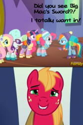 Size: 309x462 | Tagged: safe, edit, edited screencap, screencap, big macintosh, rainbow dash, earth pony, pony, dungeons and discords, g4, my little pony: friendship is magic, big macintosh gets all the mares, caption, male, out of context, stallion