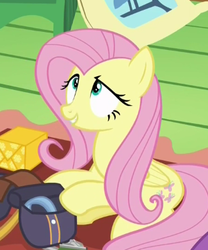 Size: 300x361 | Tagged: safe, screencap, fluttershy, pony, dungeons and discords, g4, female, mare, solo