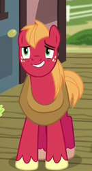 Size: 188x347 | Tagged: safe, screencap, big macintosh, earth pony, pony, dungeons and discords, g4, male, smiling, solo, stallion