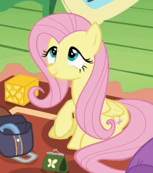 Size: 501x566 | Tagged: safe, screencap, fluttershy, pegasus, pony, dungeons and discords, g4, season 6, animated, cute, female, gif, packing, saddle bag, shyabetes, smiling, solo