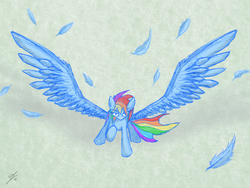 Size: 1600x1200 | Tagged: safe, artist:zodiarkfox, rainbow dash, pony, g4, feather, female, solo, spread wings