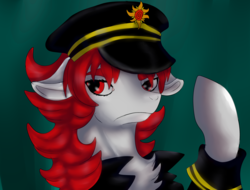 Size: 4096x3112 | Tagged: safe, artist:brainiac, oc, oc only, oc:hunters moon, pegasus, pony, bust, captain, clothes, female, mare, portrait, solo, uniform