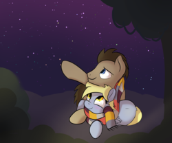 Size: 750x625 | Tagged: safe, artist:klemm, derpy hooves, doctor whooves, time turner, pegasus, pony, g4, clothes, female, mare, newbie artist training grounds, night, scarf, stars