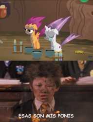 Size: 960x1254 | Tagged: safe, screencap, scootaloo, sweetie belle, g4, on your marks, cutie mark, discovery family logo, explosion, harry potter (series), meme, seamus finnigan, soot, spanish, that's my pony, that's my x, the cmc's cutie marks