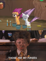 Size: 960x1254 | Tagged: safe, scootaloo, sweetie belle, g4, on your marks, cutie mark, explosion, harry potter (series), meme, seamus finnigan, soot, that's my pony, that's my x, the cmc's cutie marks