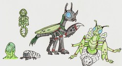 Size: 2542x1385 | Tagged: safe, artist:kuroneko, changeling, changeling larva, insect, mantis, alternate design, carapace, changeling egg, changeling slime, cicada, compound eyes, egg, gray background, locust, molting, realistic, shed skin, simple background, traditional art