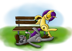 Size: 3508x2480 | Tagged: safe, artist:bartkoju, oc, oc only, pony, alcohol, bench, drunk, duo, high res