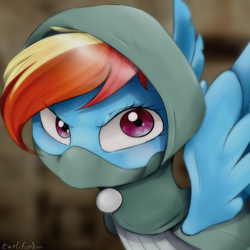 Size: 800x800 | Tagged: safe, artist:okaces, rainbow dash, pegasus, pony, dungeons and discords, g4, clothes, female, mare, rainbow rogue, rogue, solo