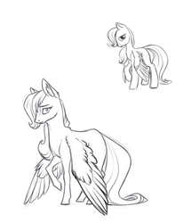 Size: 800x970 | Tagged: safe, artist:28gooddays, fluttershy, pegasus, pony, g4, better version at source, black and white, ear fluff, feather, female, grayscale, looking at you, looking sideways, mare, monochrome, raised hoof, redraw, shy, simple background, solo, spread wings, white background, wing fluff, wings, wings down