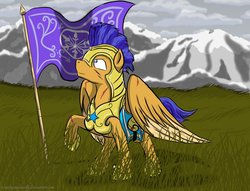 Size: 1024x784 | Tagged: safe, artist:cozmicpandawolf, flash sentry, g4, armor, crystal empire, crystal guard, flag, helmet, male, scar, solo