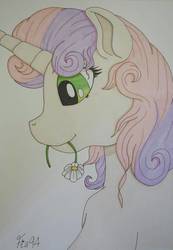 Size: 868x1252 | Tagged: safe, artist:fia94, sweetie belle, g4, female, flower, flower in mouth, mouth hold, solo, traditional art